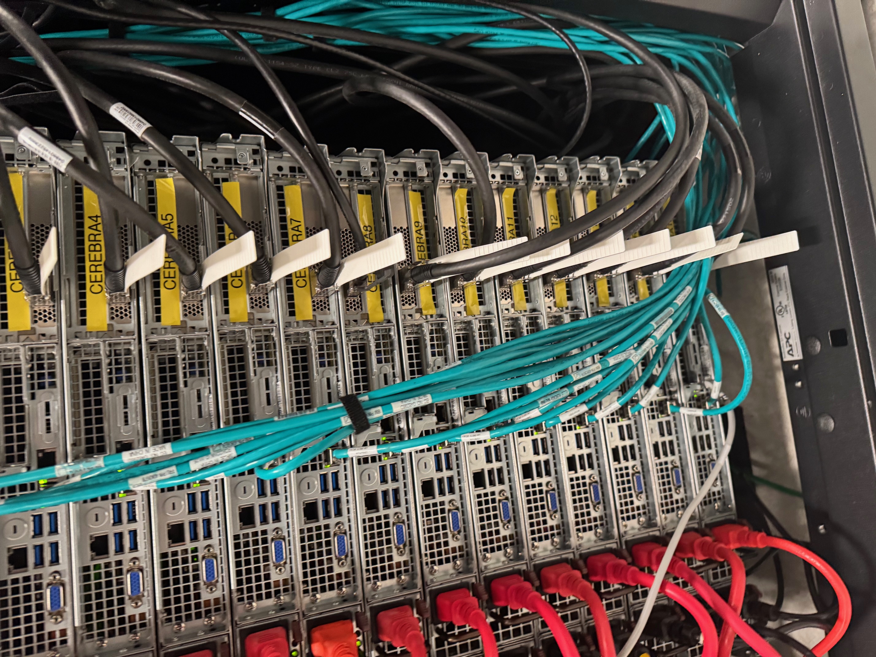 Rear of Cerebra compute nodes, with network and power cables.